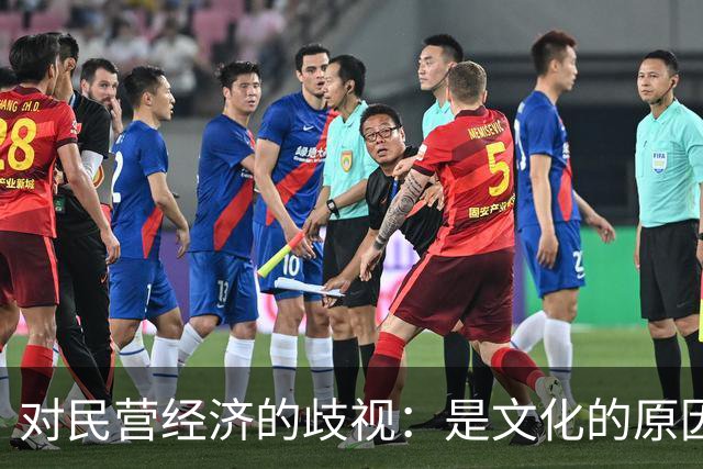 对民营经济的歧视：是文化的原因，还是意识形态的推动
